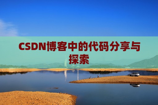 CSDN博客中的代码分享与探索